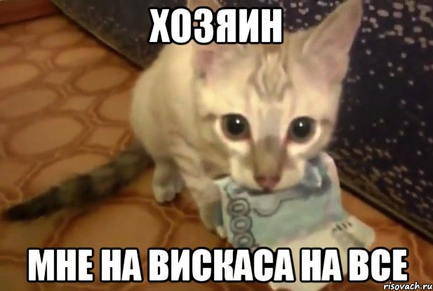 хозяин мне на вискаса на все