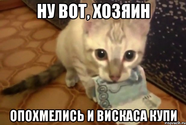 ну вот, хозяин опохмелись и вискаса купи