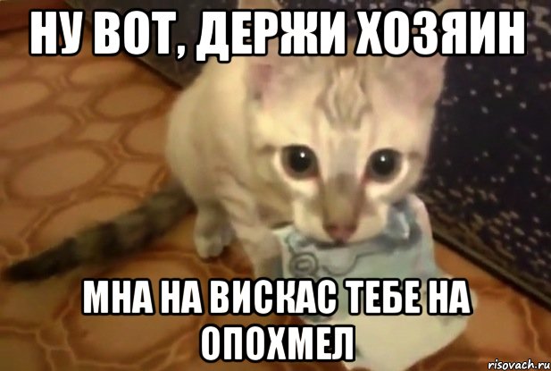 ну вот, держи хозяин мна на вискас тебе на опохмел