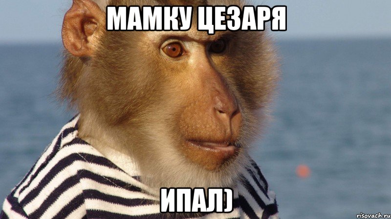 Мамку цезаря ИПАЛ)