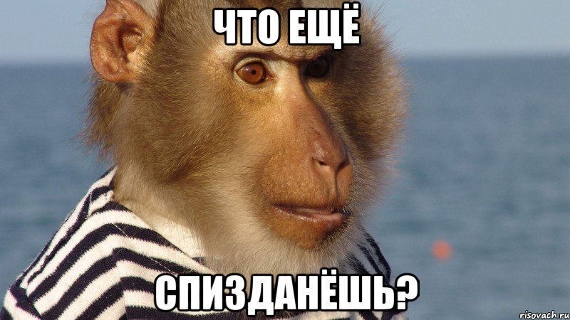 что ещё спизданёшь?