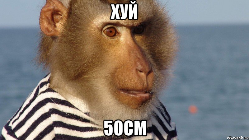 хуй 50см