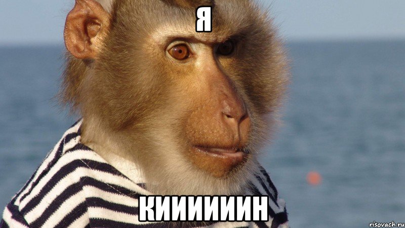 я КИИИИИИН