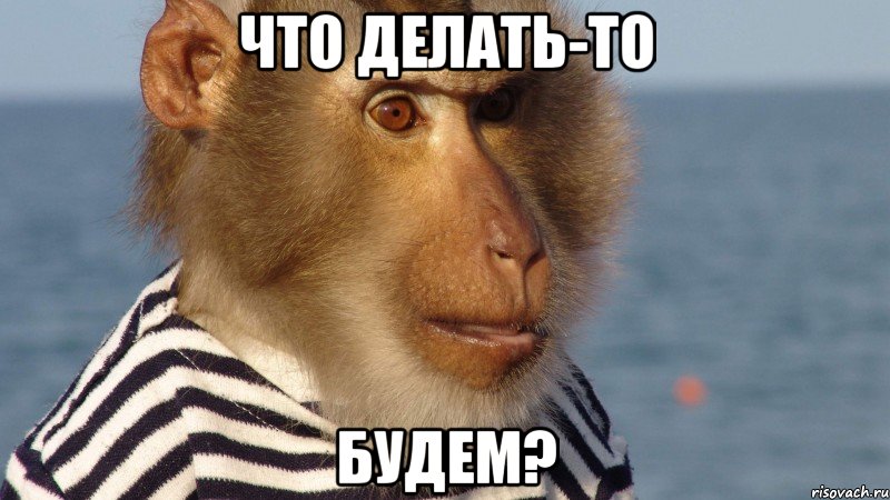 что делать-то будем?