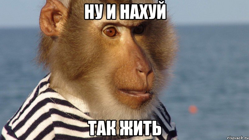 ну и нахуй так жить