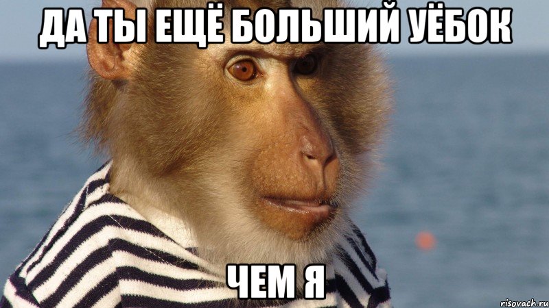 да ты ещё больший уёбок чем я