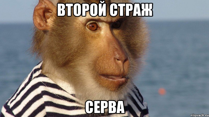 второй страж серва