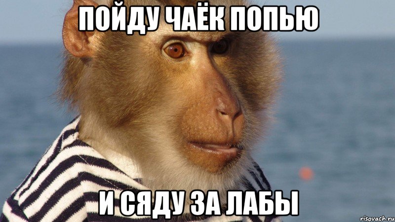 пойду чаёк попью и сяду за лабы