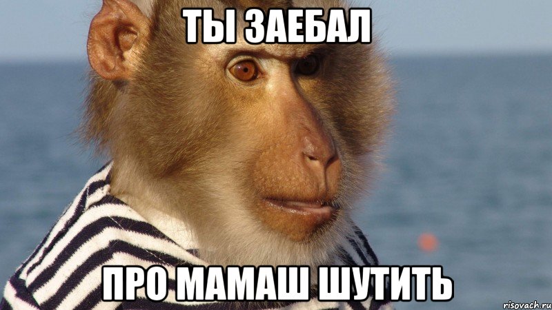 ты заебал про мамаш шутить