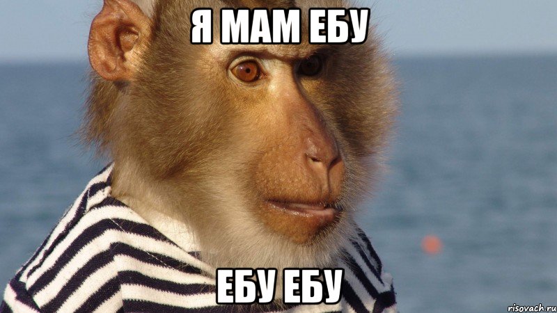 я мам ебу ебу ебу