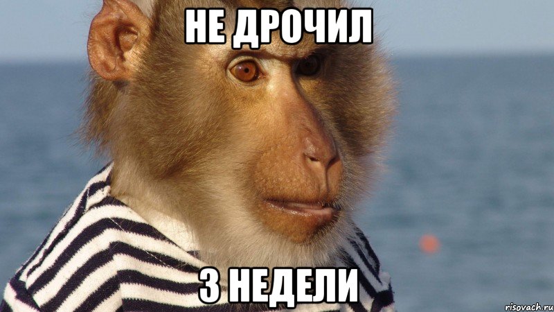 не дрочил 3 недели