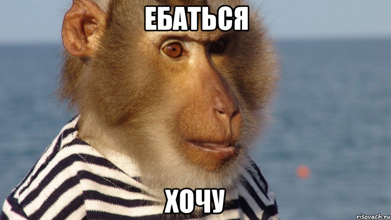 ебаться хочу