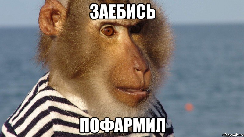 заебись пофармил
