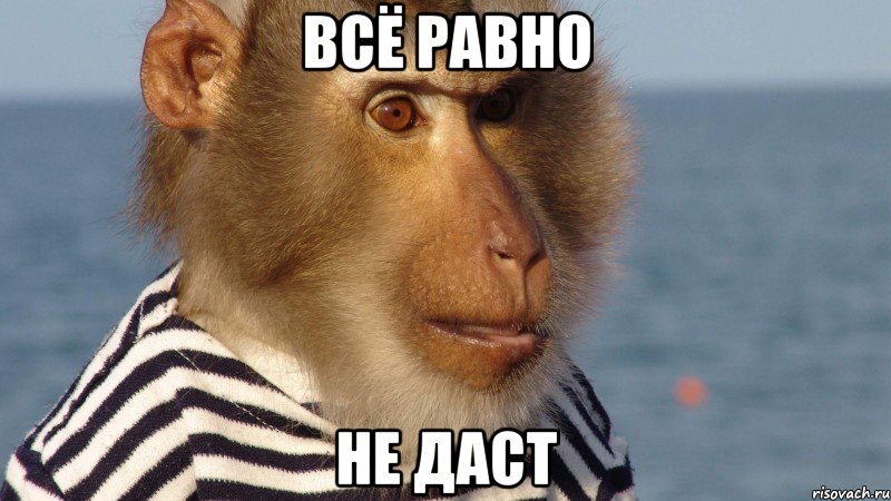 всё равно не даст