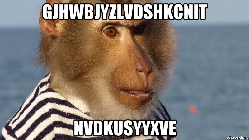 GjHWBjyZlvdShKCniT nvdkusyYXve
