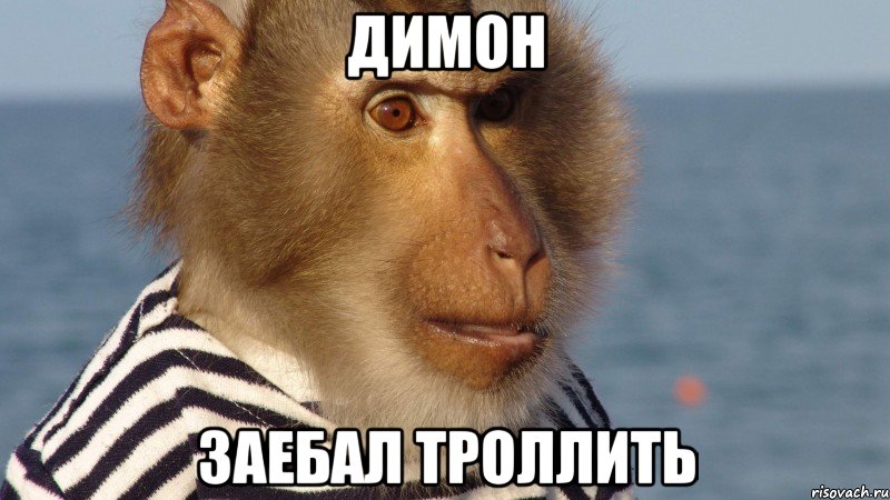 димон заебал троллить