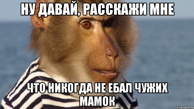 ну давай, расскажи мне что никогда не ебал чужих мамок