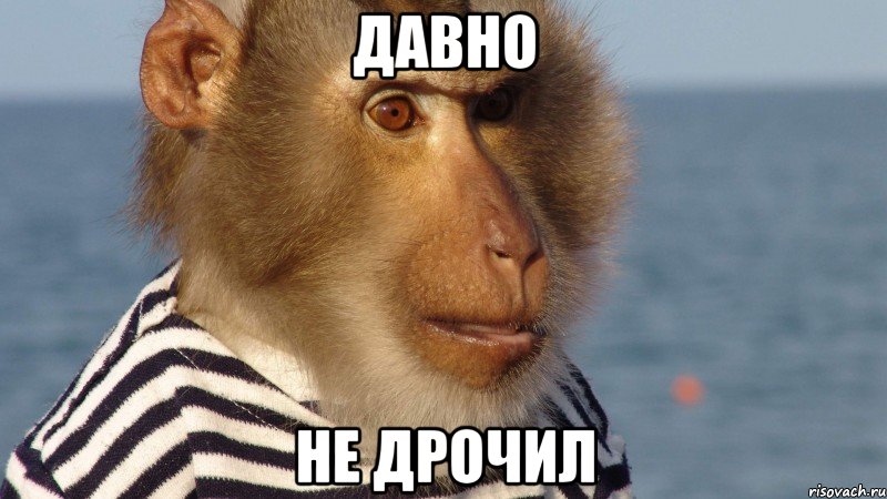 давно не дрочил