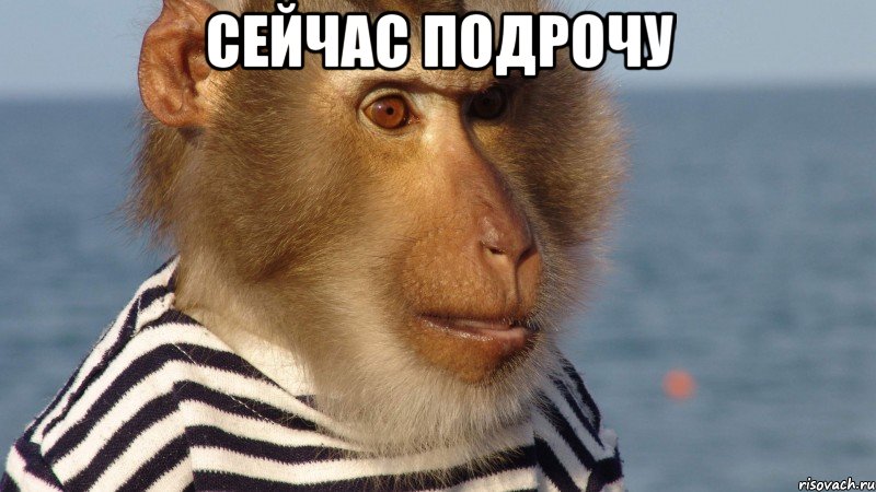 сейчас подрочу 