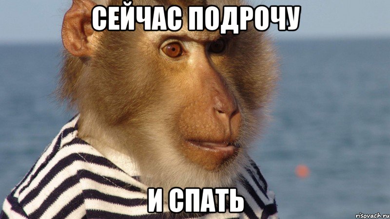 сейчас подрочу и спать, Мем Нарёк