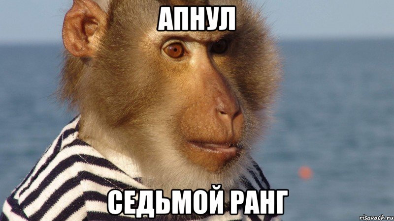 апнул седьмой ранг