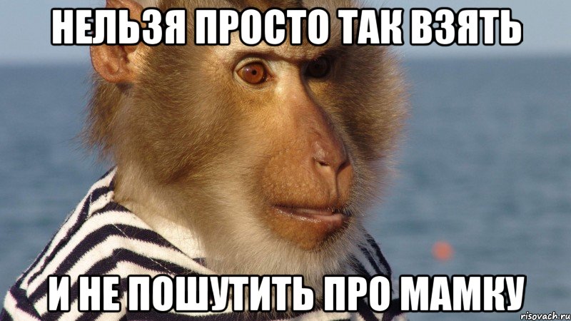 нельзя просто так взять и не пошутить про мамку