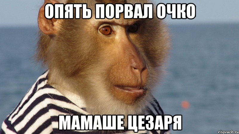 опять порвал очко мамаше цезаря