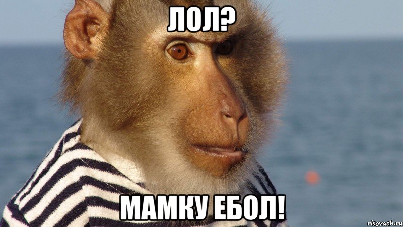 лол? мамку ебол!
