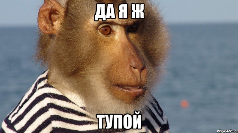 да я ж тупой