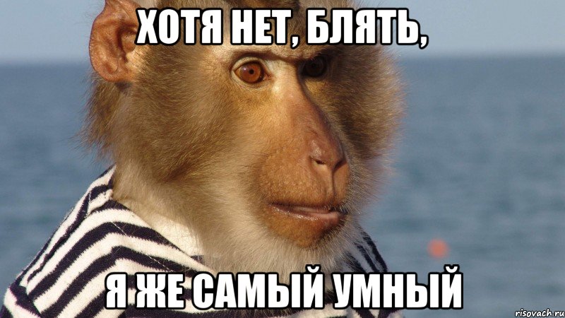 хотя нет, блять, я же самый умный