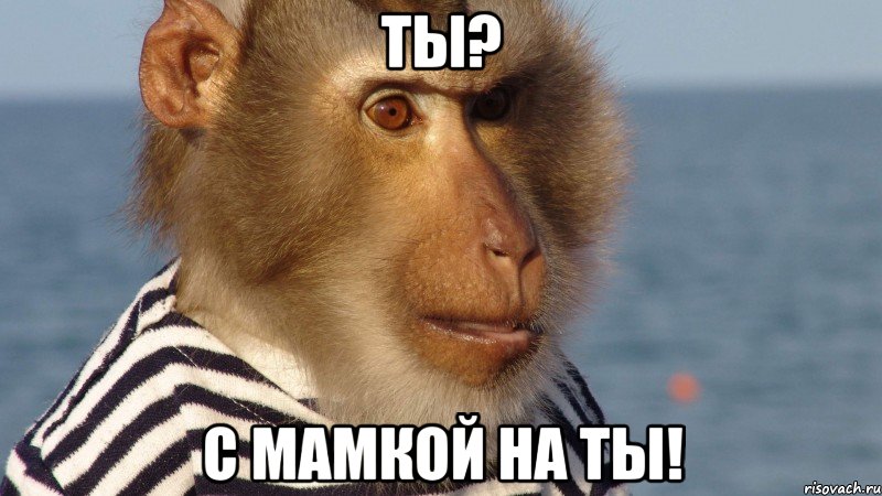ты? с мамкой на ты!
