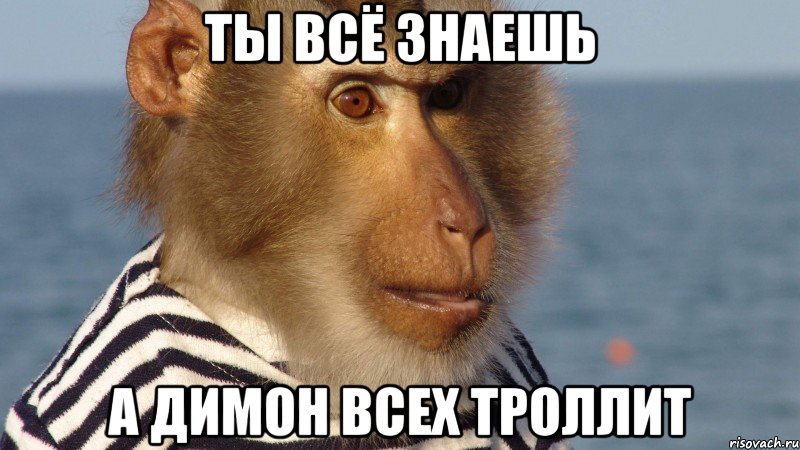ты всё знаешь а димон всех троллит