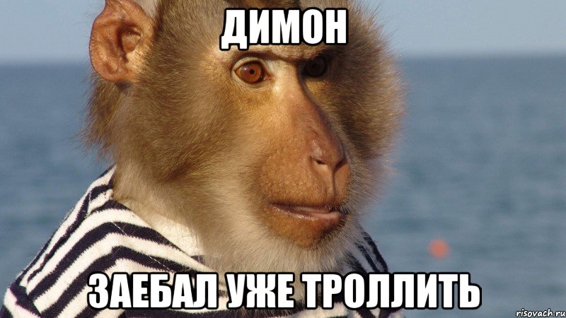 димон заебал уже троллить