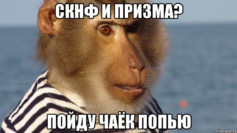 скнф и призма? пойду чаёк попью