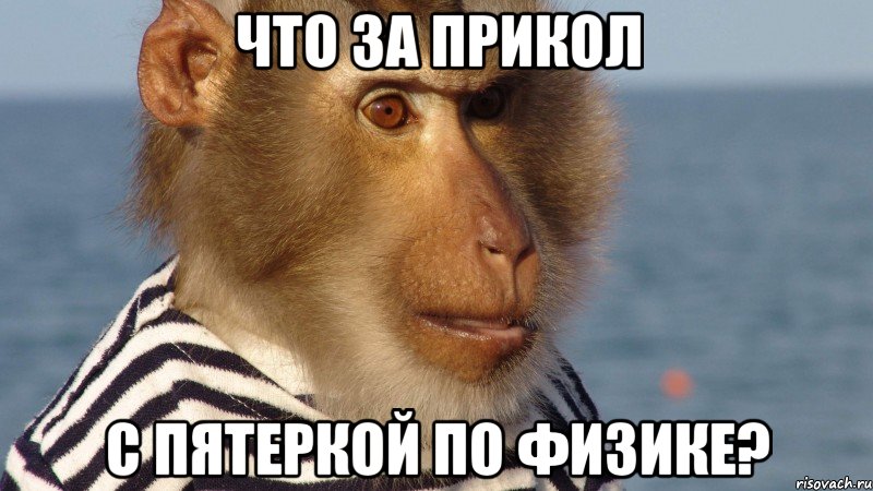 что за прикол с пятеркой по физике?