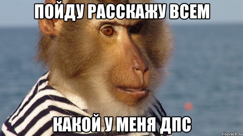 пойду расскажу всем какой у меня дпс