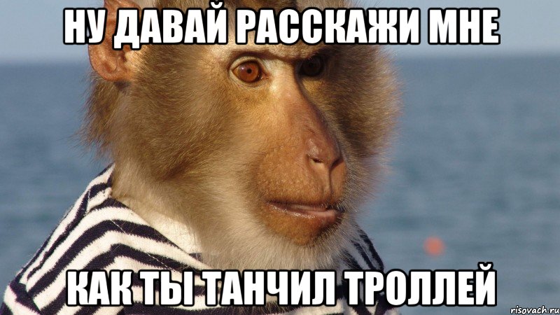 ну давай расскажи мне как ты танчил троллей