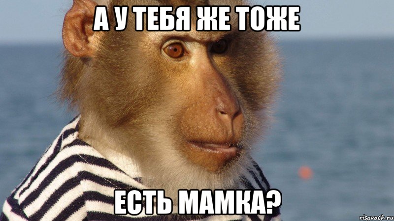 а у тебя же тоже есть мамка?