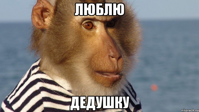 люблю дедушку
