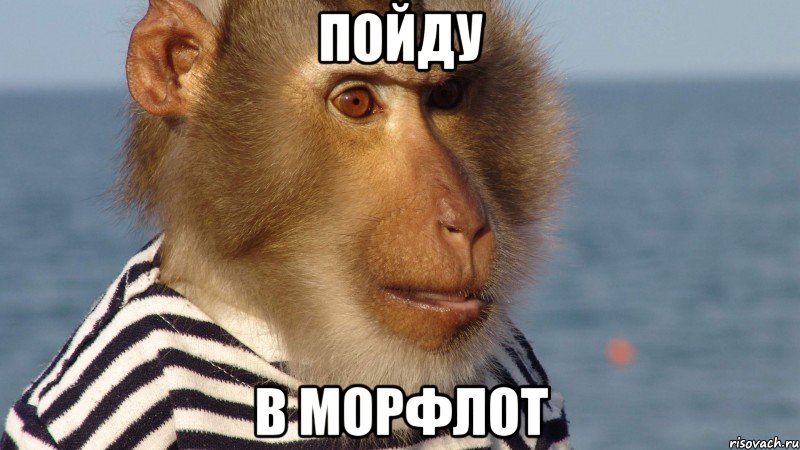 пойду в морфлот
