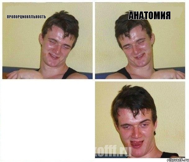 Пропорциональность Анатомия 