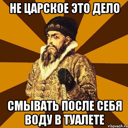 НЕ ЦАРСКОЕ ЭТО ДЕЛО СМЫВАТЬ ПОСЛЕ СЕБЯ ВОДУ В ТУАЛЕТЕ, Мем Не царское это дело