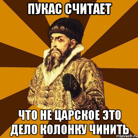 пукас считает что не царское это дело колонку чинить, Мем Не царское это дело