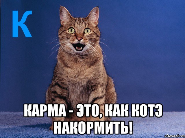  карма - это, как котэ накормить!