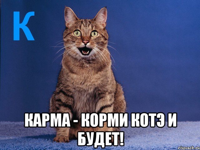  карма - корми котэ и будет!