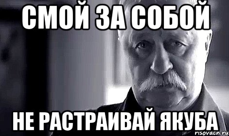 смой за собой не растраивай якуба, Мем Не огорчай Леонида Аркадьевича