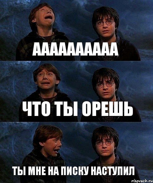 аааааааааа что ты орешь ты мне на писку наступил, Комикс гарри и рон в пещере пауков