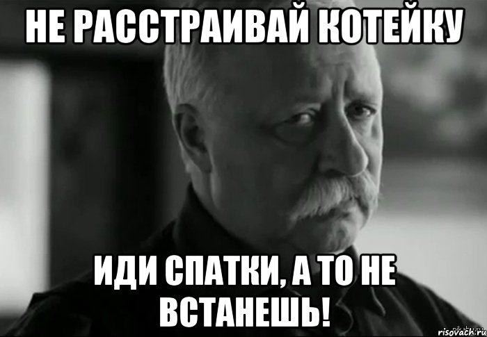 не расстраивай котейку иди спатки, а то не встанешь!, Мем Не расстраивай Леонида Аркадьевича