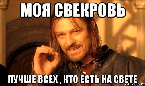 Моя свекровь Лучше всех , кто есть на свете, Мем Нельзя просто так взять и (Боромир мем)
