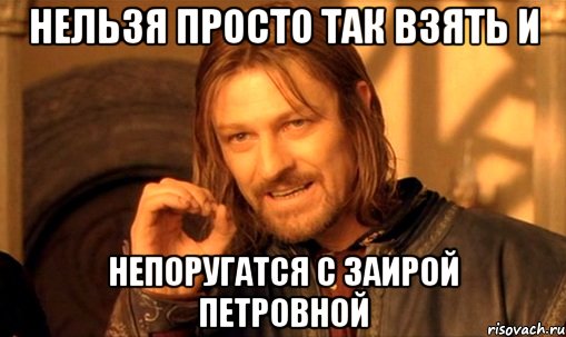 Нельзя просто так взять и непоругатся с Заирой Петровной, Мем Нельзя просто так взять и (Боромир мем)